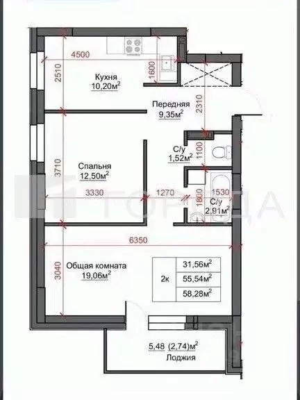 2-к кв. Алтайский край, Барнаул ул. Антона Петрова, 254 (51.6 м) - Фото 2
