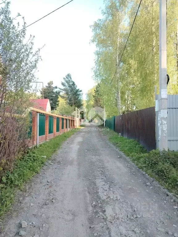 Участок в Новосибирская область, Новосибирский район, Барышевский ... - Фото 2