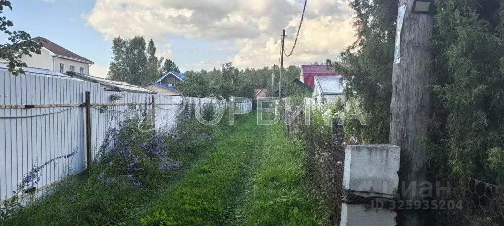 Участок в Тюменская область, Тюмень Яровское садовое товарищество, ул. ... - Фото 0