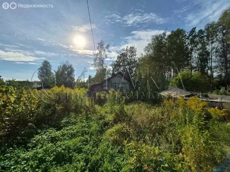 Участок в Ленинградская область, Выборг (4.56 м) - Фото 0