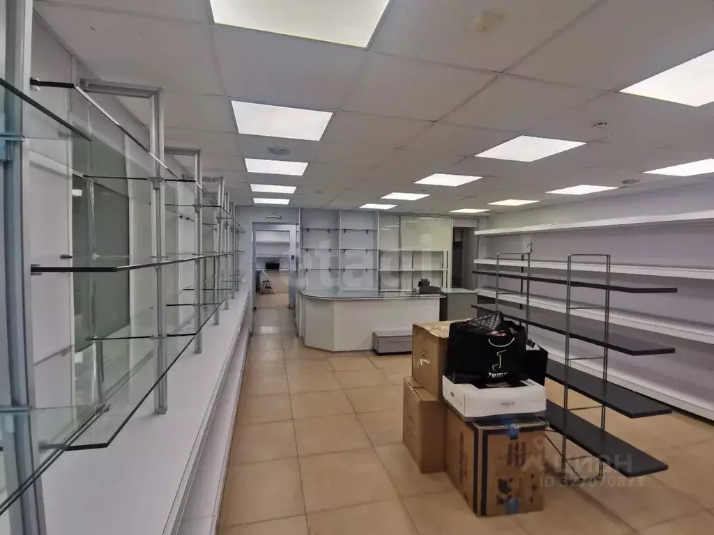 Помещение свободного назначения в Камчатский край, Елизово ул. ... - Фото 0