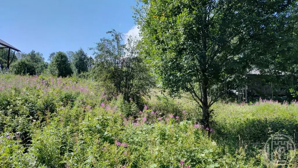 Дом в Ленинградская область, Выборгский район, Рощино городской ... - Фото 2