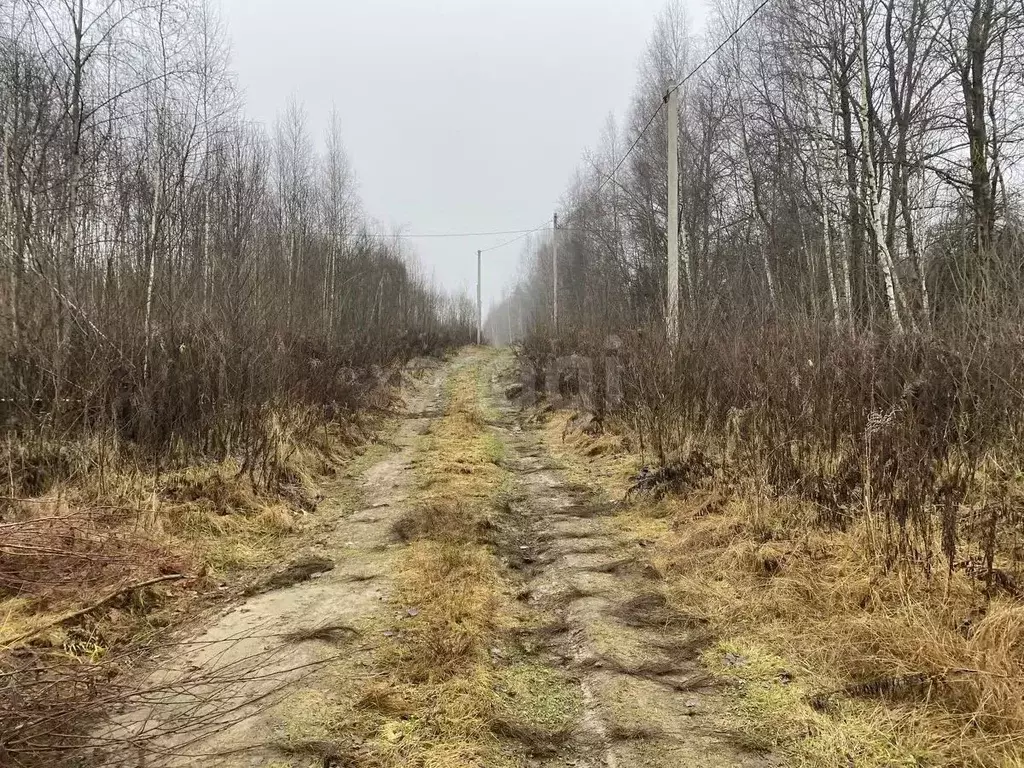 Участок в Смоленская область, Смоленск Славутич СНТ,  (12.5 сот.) - Фото 1
