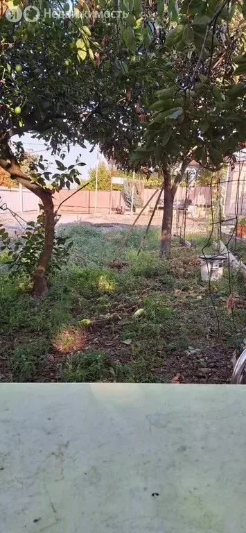 Участок в Краснодарский край, городской округ Сочи, село Верхневесёлое ... - Фото 0