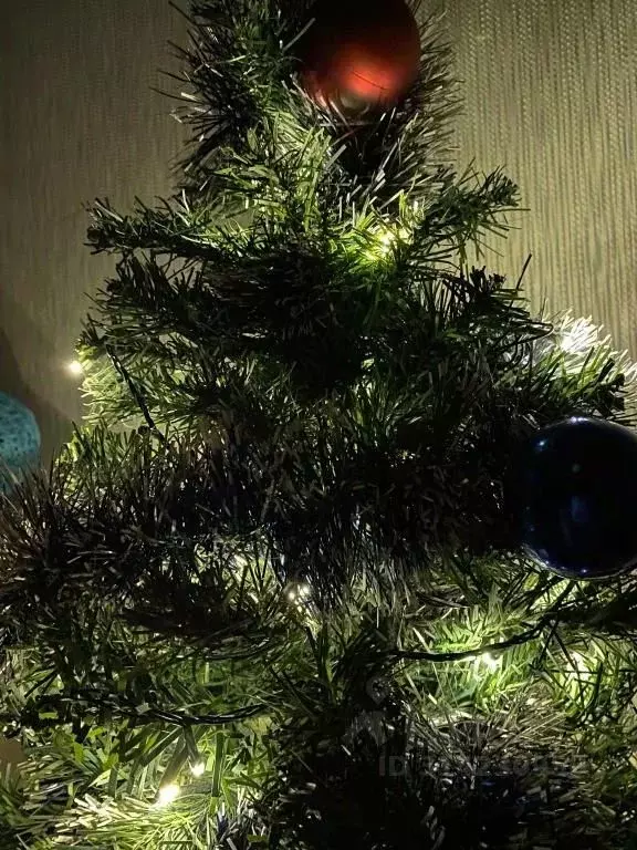 2-к кв. Ленинградская область, Выборг Выборгская ул., 17 (42.0 м) - Фото 2