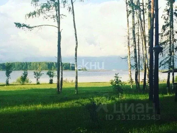 Участок в Нижегородская область, Чкаловск муниципальный округ, д. ... - Фото 1