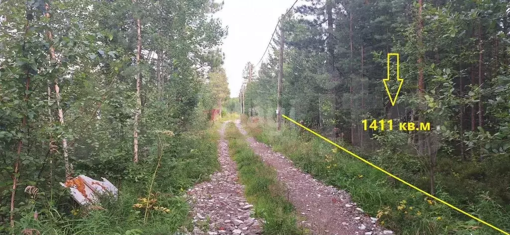 Участок 14,1 сот. (СНТ, ДНП) - Фото 0
