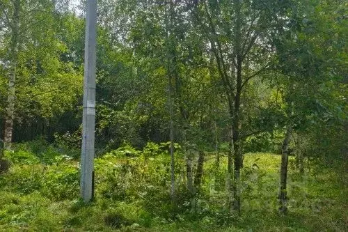 Участок в Новгородская область, Новгородский район, Савинское с/пос, ... - Фото 1