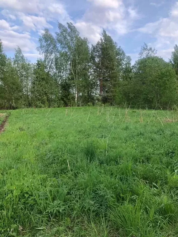 Участок в Ленинградская область, Тосненский район, Нурминское с/пос, ... - Фото 1