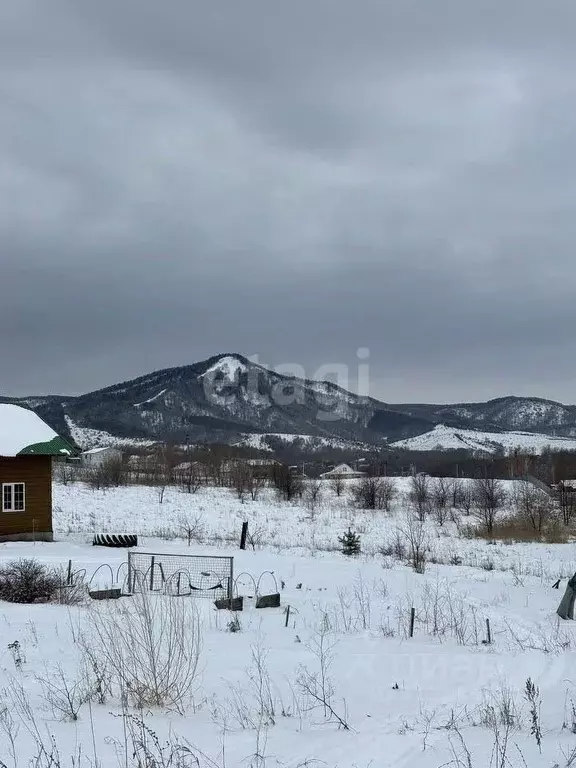 Участок в Алтайский край, Белокуриха ул. Свободы (11.6 сот.) - Фото 1