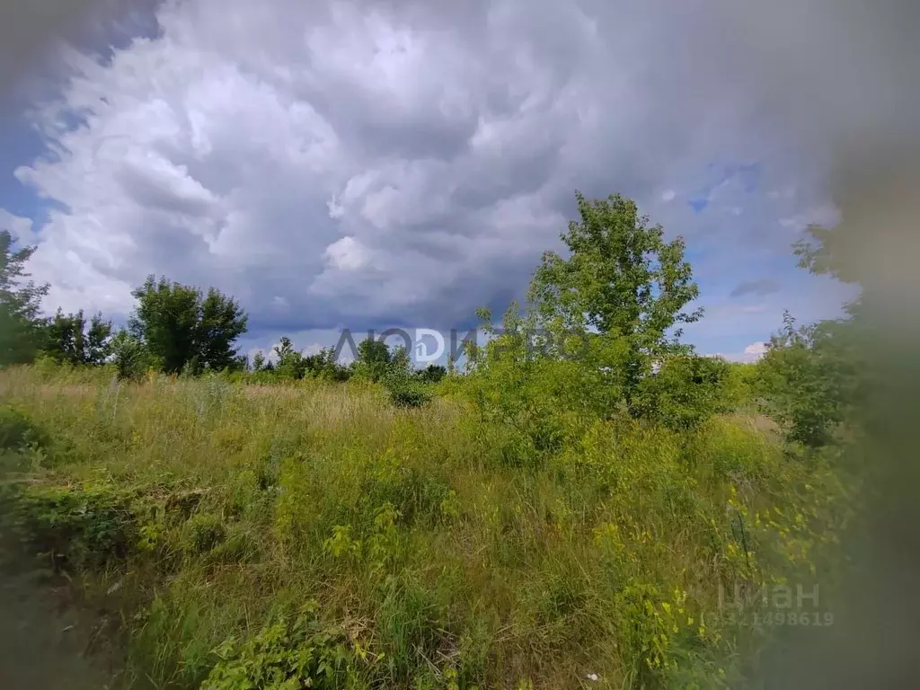 Участок в Алтайский край, Барнаул городской округ, пос. Бельмесево ул. ... - Фото 1