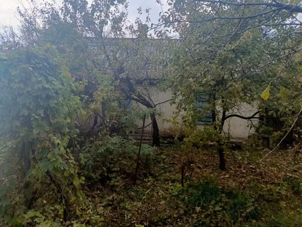 Дом в Каменск-Шахтинский, улица Желябова ( м) - Фото 1