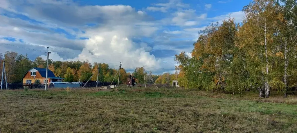 Участок в Челябинская область, Красноармейский район, Козыревское ... - Фото 1