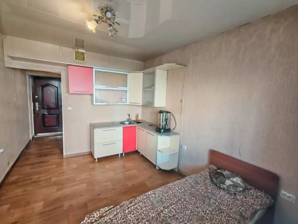 Студия Хакасия, Абакан просп. Дружбы Народов, 41А (18.0 м) - Фото 0