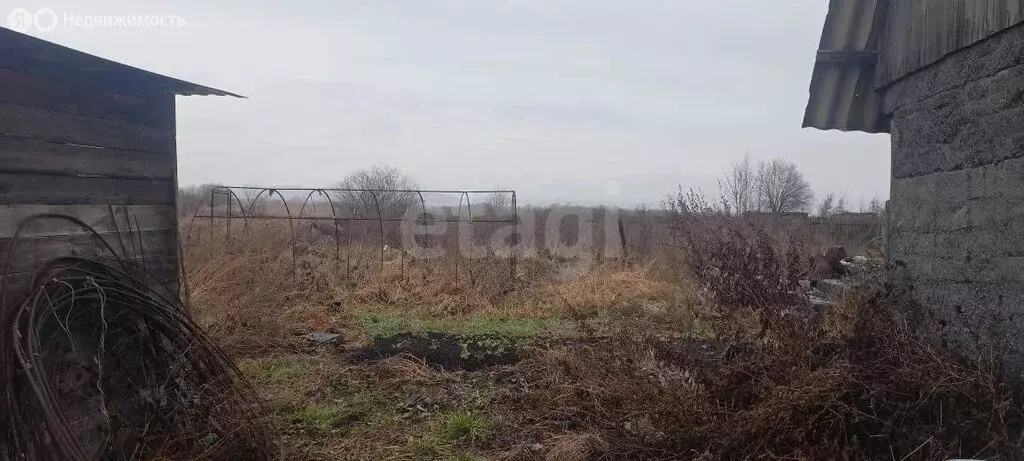 Участок в посёлок Чистогорский, Садовая улица (15.5 м) - Фото 1