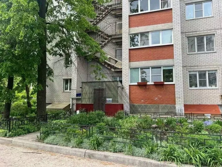 Помещение свободного назначения в Воронежская область, Воронеж ул. ... - Фото 1