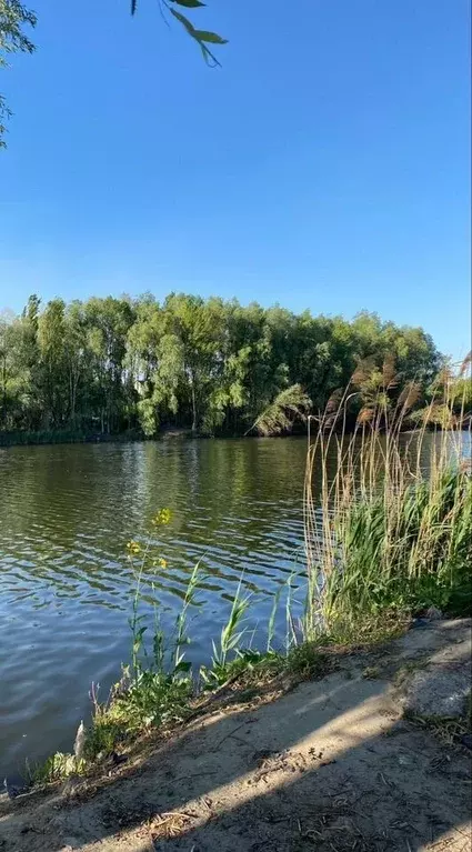 Участок в Краснодарский край, Краснодар Излучина-Кубань СНТ,  (52.0 ... - Фото 0