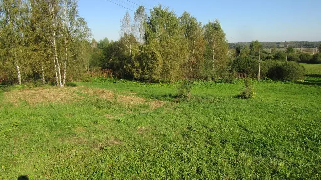 Участок в Московская область, Рузский муниципальный округ, д. Верхнее ... - Фото 2