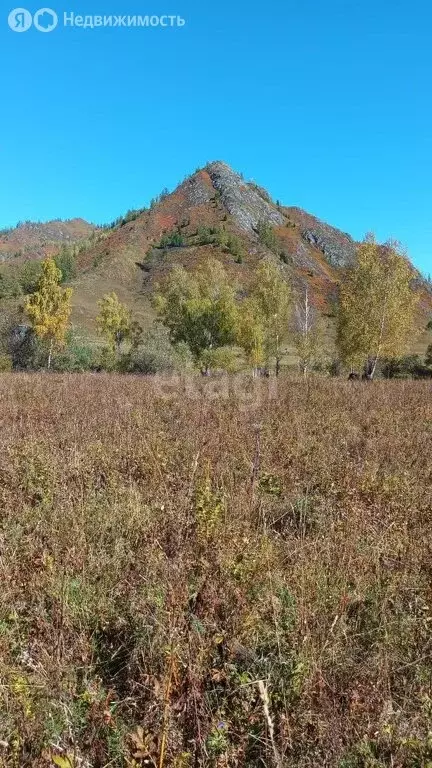 Участок в Усть-Коксинский район, село Усть-Кокса (310 м) - Фото 1