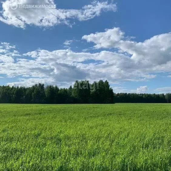 Участок в Кировская область, посёлок городского типа Верхошижемье ... - Фото 0