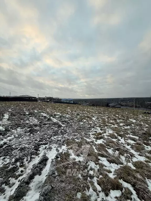 Продается участок в д. Сухарево - Фото 2