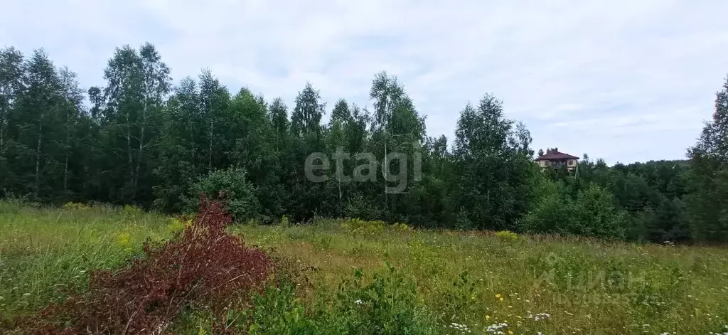 Участок в Нижегородская область, Кстово ул. Прохладная (11.7 сот.) - Фото 0