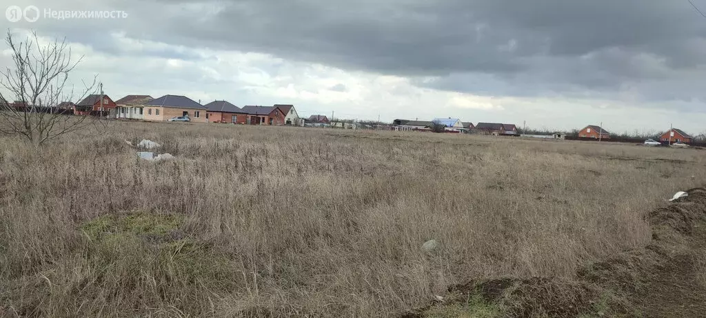 Участок в село Кухаривка, улица Гагарина (14.05 м) - Фото 2