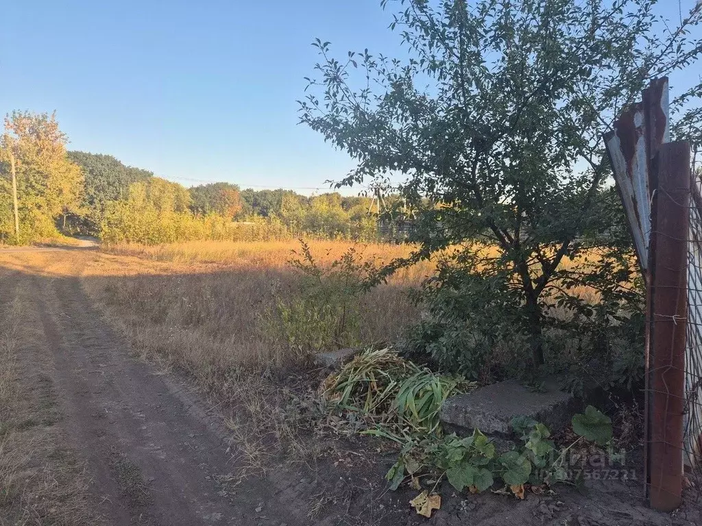 Участок в Белгородская область, Строитель Яковлевский городской округ, ... - Фото 1