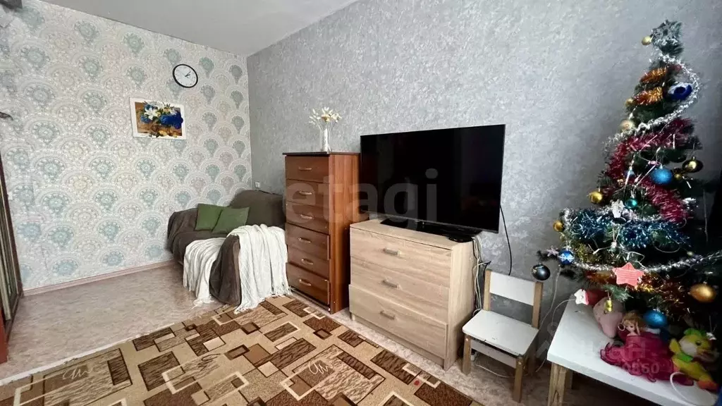 Студия Новосибирская область, Новосибирск ул. Дмитрия Шмонина, 2 (25.4 ... - Фото 1