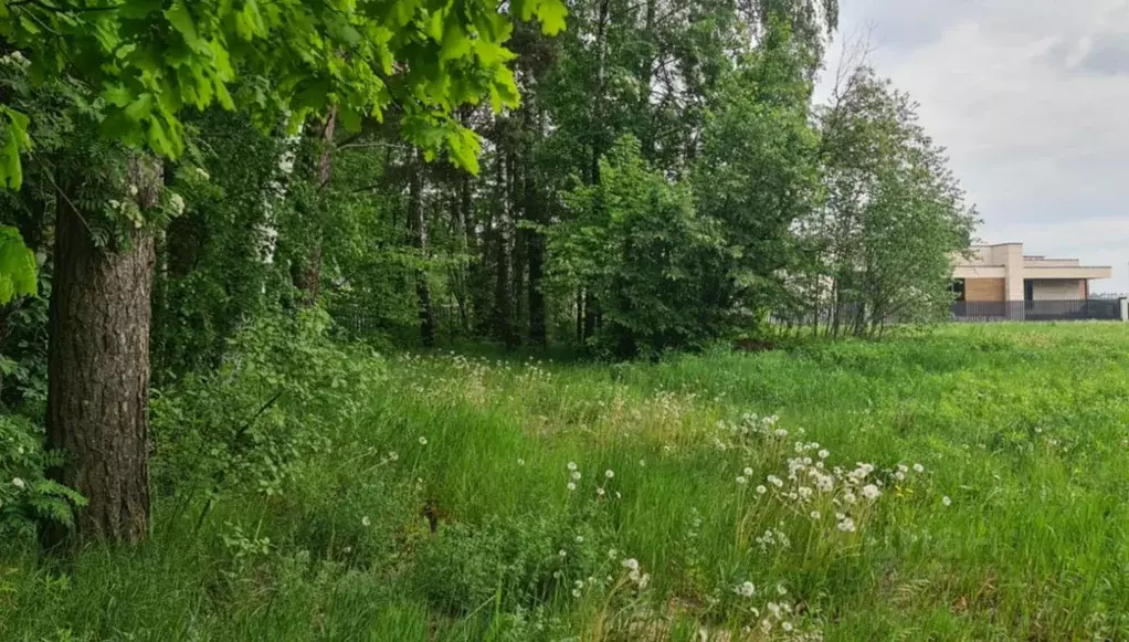 Участок в Московская область, Одинцовский городской округ, д. ... - Фото 1