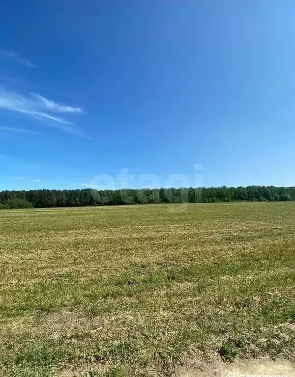 Участок в Белгородская область, Белгородский район, Комсомольское ... - Фото 2
