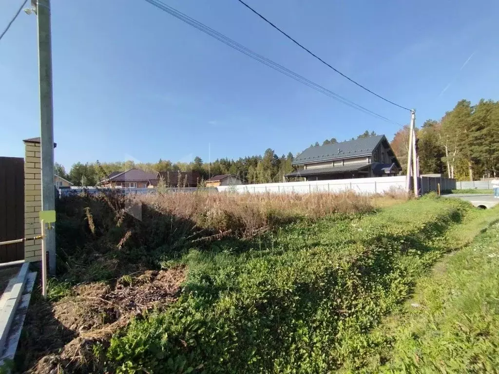 Участок в Тюменская область, Тюменский муниципальный округ, д. Ушакова ... - Фото 1