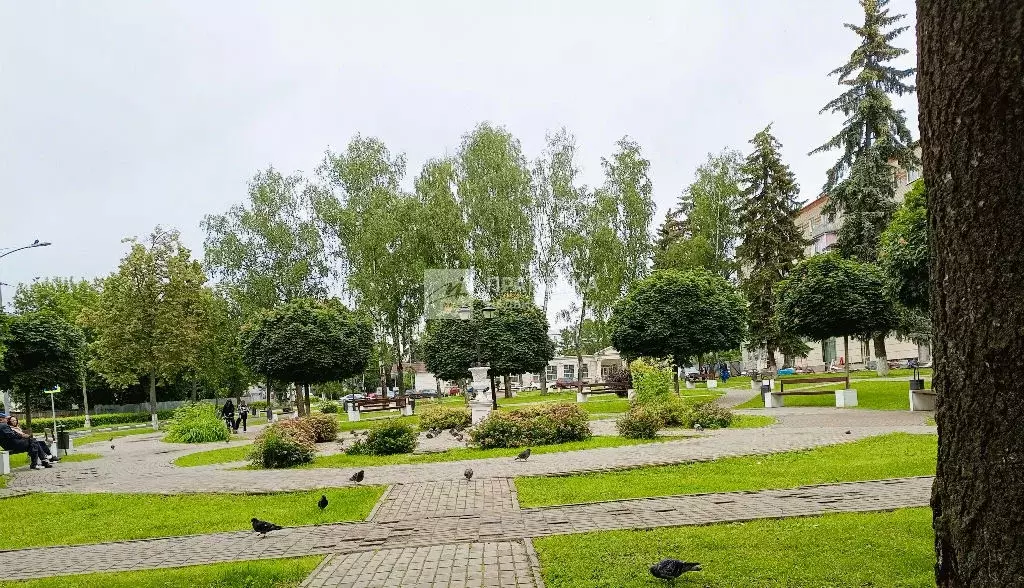 Продается 1-комнатная квартира - Фото 2