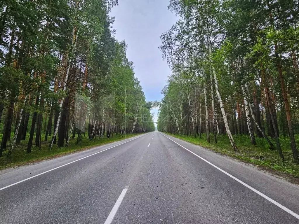 Участок в Тюменская область, Тюменский муниципальный округ, д. ... - Фото 1