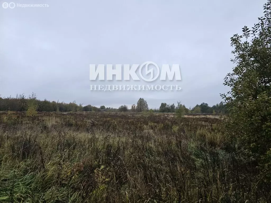 Участок в Московская область, Можайский муниципальный округ, КП ... - Фото 1