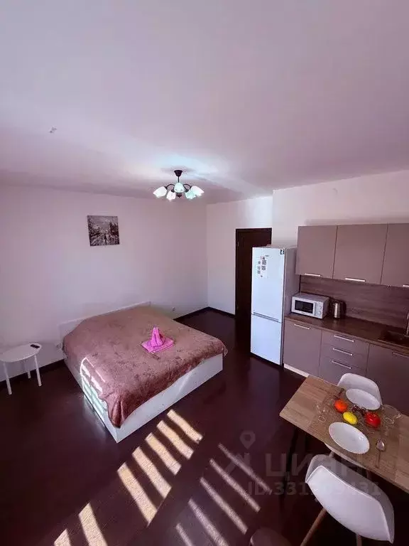 Студия Санкт-Петербург ул. Верхне-Каменская, 9к1 (27.0 м) - Фото 1
