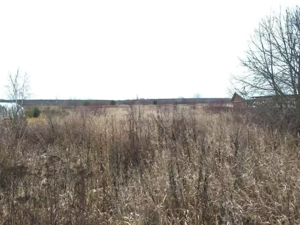 Участок в Вологодская область, Великоустюгский муниципальный округ, ... - Фото 2