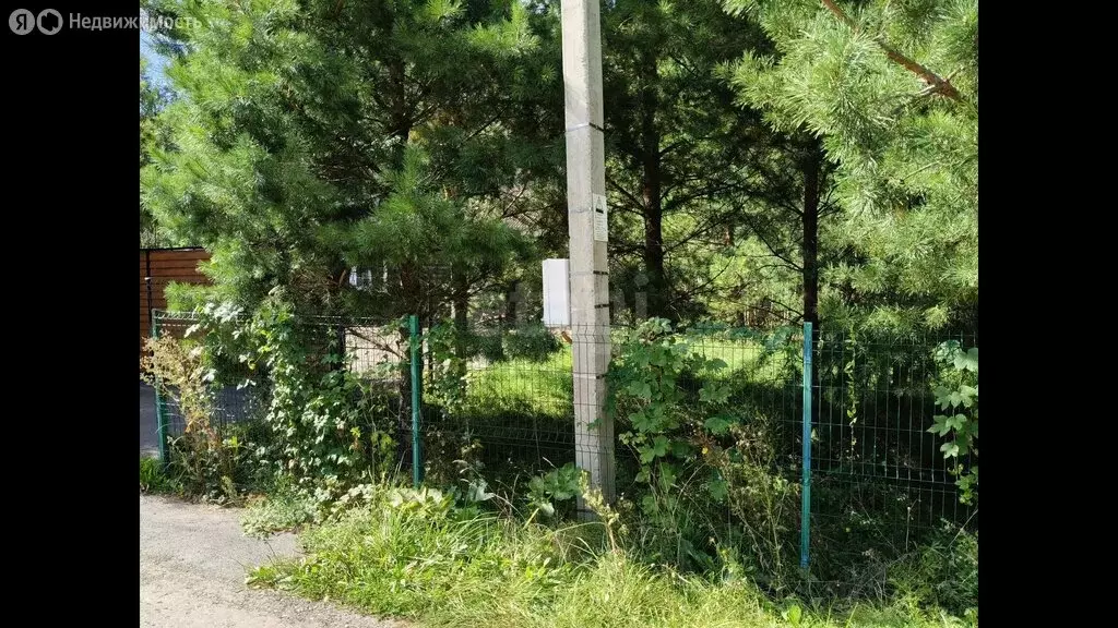 Участок в село Кульшарипово, КП Лесная сказка, Лесная улица (9.3 м) - Фото 2