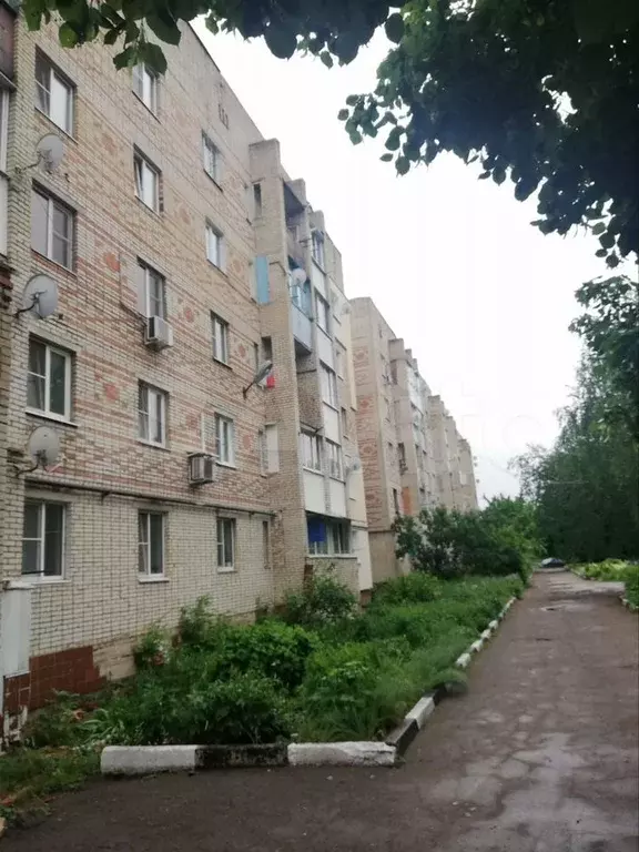 1-к. квартира, 29,2 м, 2/5 эт. - Фото 0