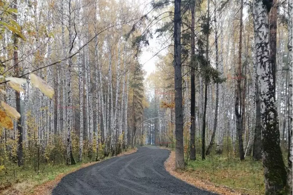 Участок в Свердловская область, Екатеринбург Улесье кп,  (11.0 сот.) - Фото 0