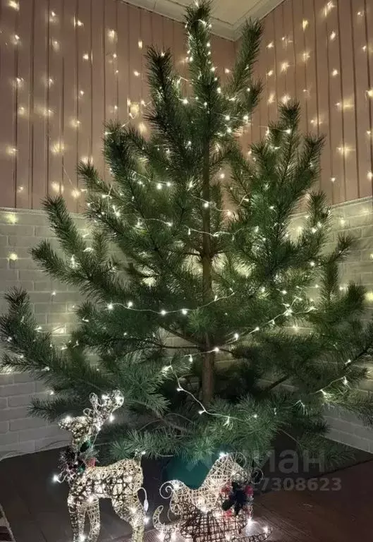 Дом в Московская область, Раменский муниципальный округ, 23-9 кв-л 6 ... - Фото 1