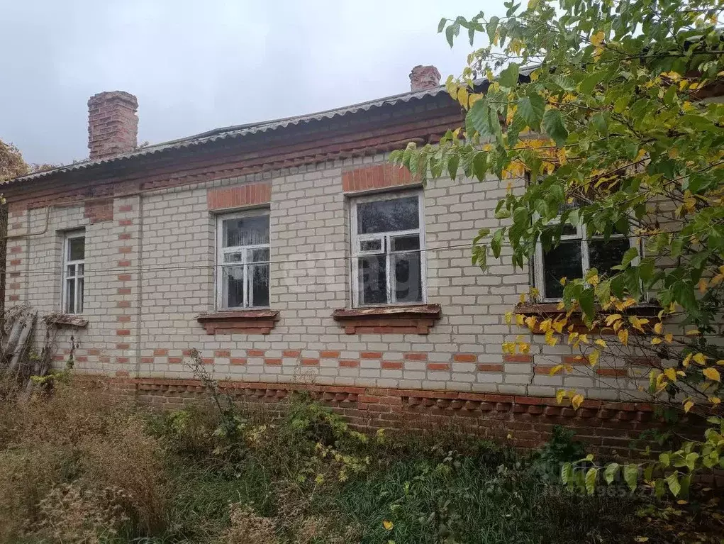 Дом в Белгородская область, Вейделевский район, с. Малакеево ул. ... - Фото 1