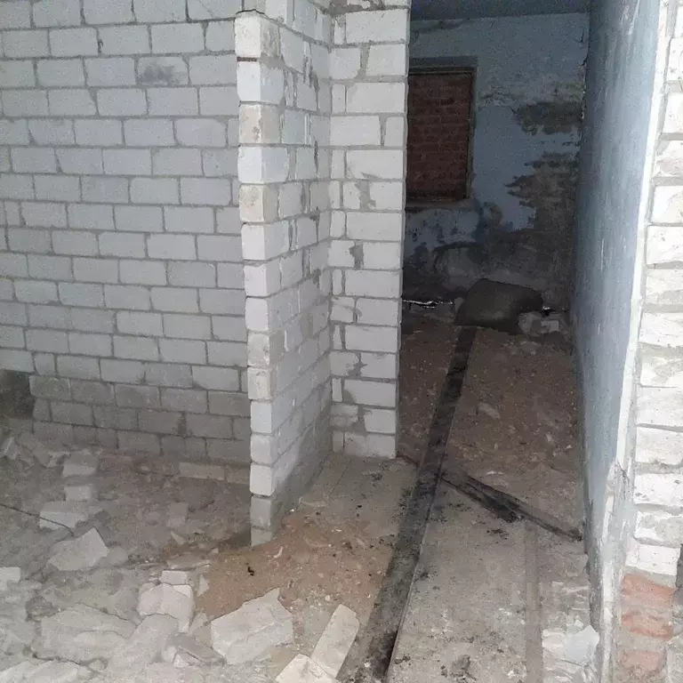 Помещение свободного назначения в Волгоградская область, Волгоград ул. ... - Фото 1