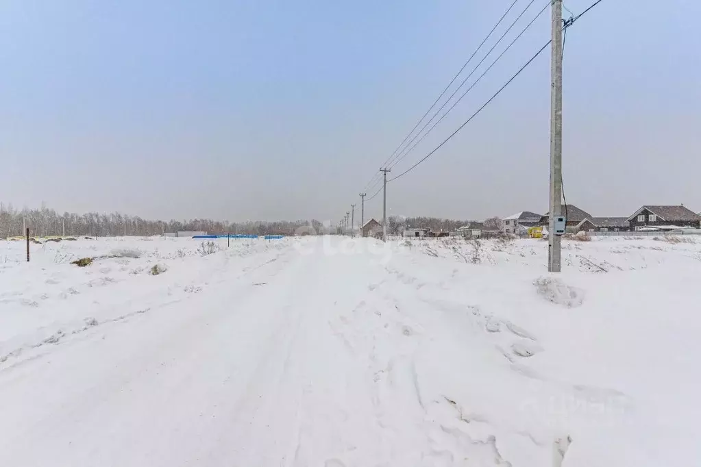 Погода фирсово алтайского края на 10. Фирсово Алтайский край. Фирсово Алтайский край набережная 3. Фирсово.