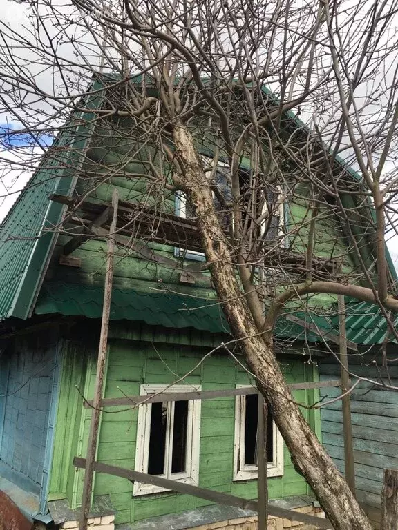 Участок в Нижегородская область, муниципальный округ Семёновский, ... - Фото 1