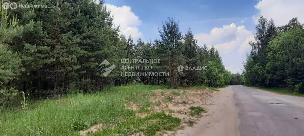 Участок в Спасский район, Панинское сельское поселение, деревня ... - Фото 0