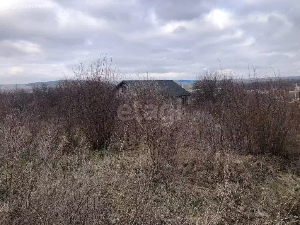 Участок в село Денисовка, Родниковая улица (6 м) - Фото 0