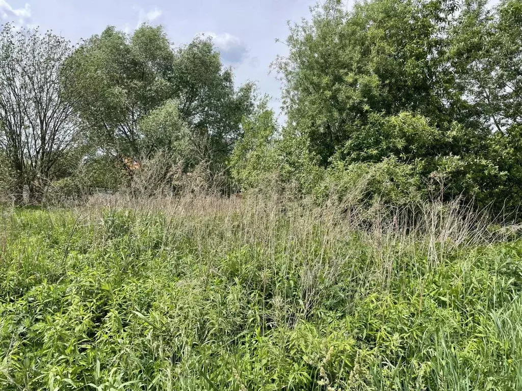 Участок, 7.8 сот., поселения (ижс) - Фото 2