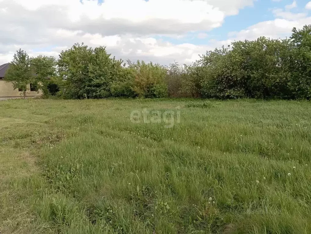 Участок в Воронежская область, Семилукский район, с. Губарево ул. ... - Фото 0