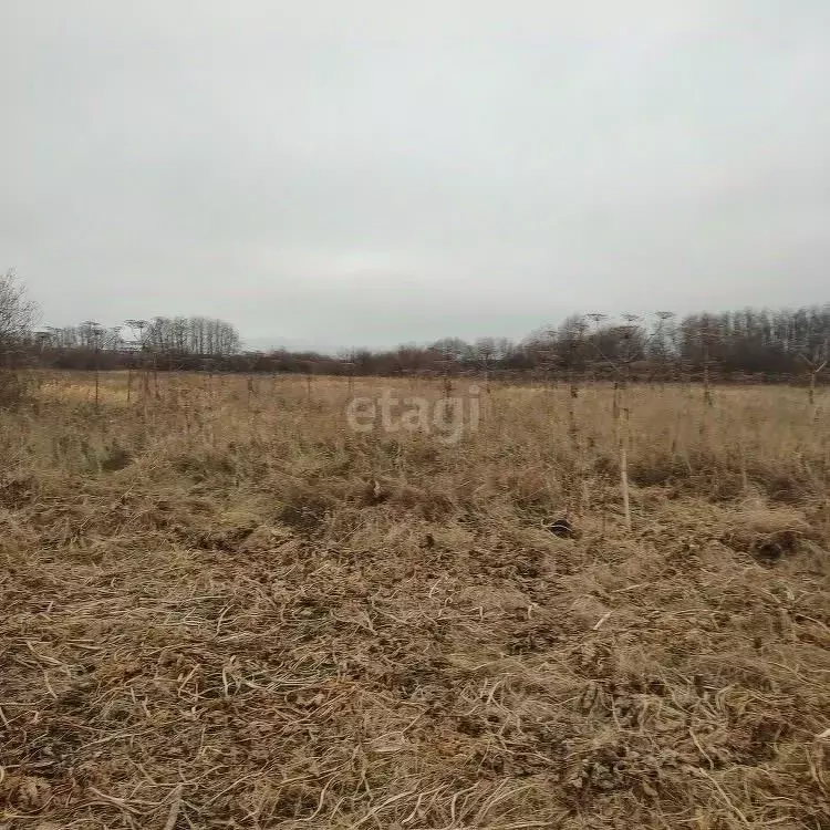 Участок в Пермский край, Пермский муниципальный округ, Телькановский ... - Фото 1